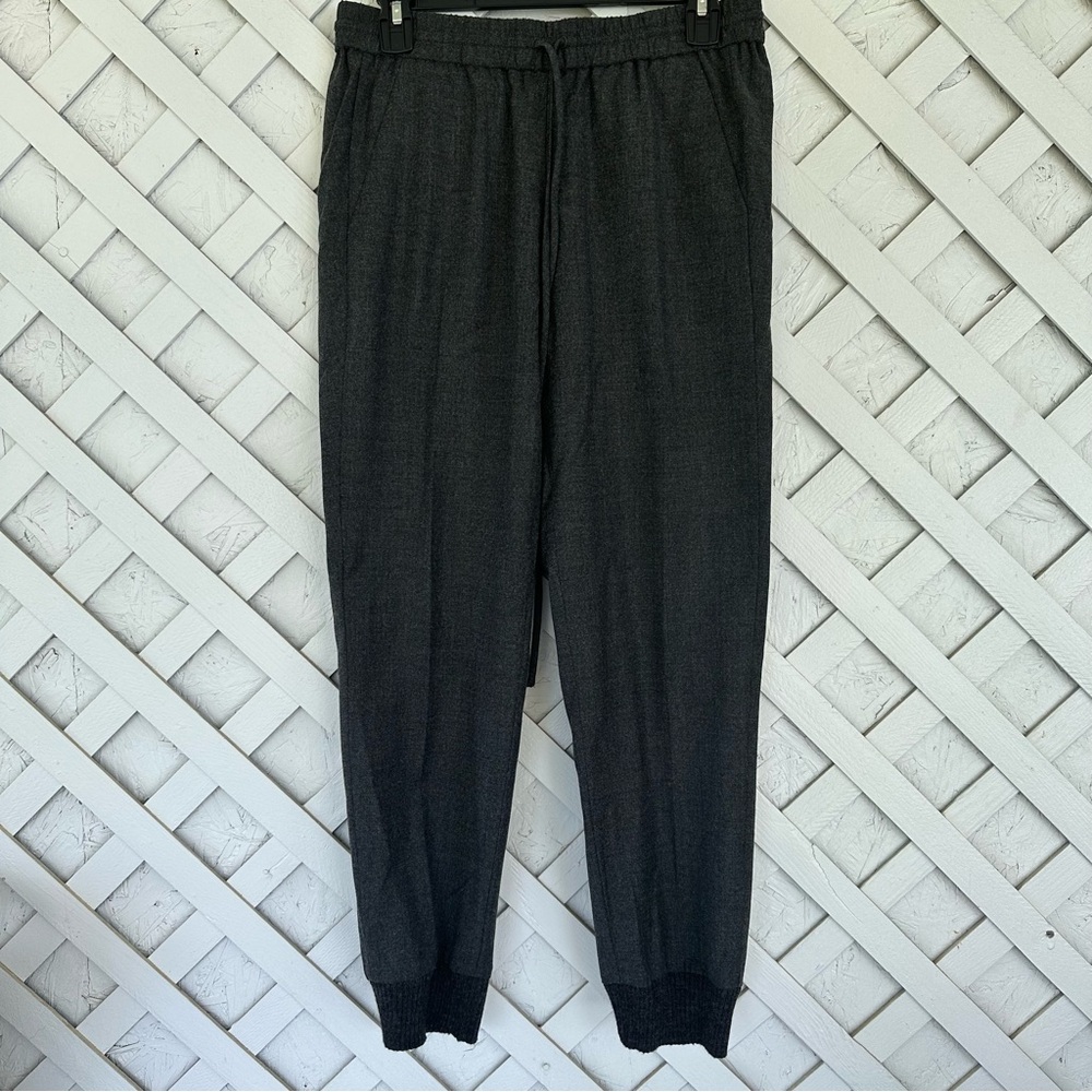 J.Crew Draw String Wool Blend Jogger Pants size 2